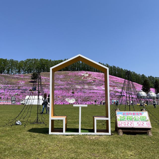 東藻琴の芝桜公園へ