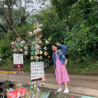 坪洋半日遊 壁畫村與大芒草原