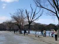 Amazing Gyeongbok Palace 😊