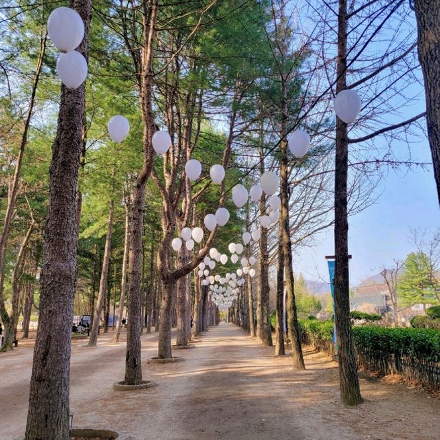 가평&남이섬 여행