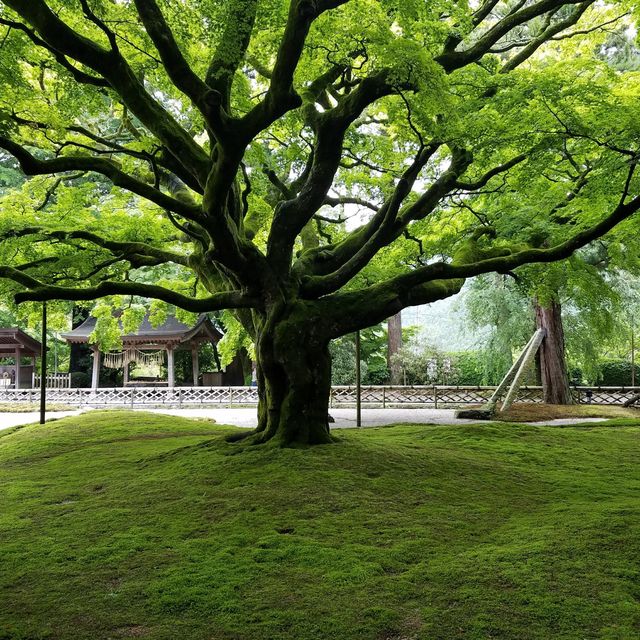 【福岡・糸島】雷山千如寺大悲王院で感動したお経