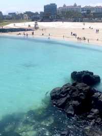 제주 에메랄드빛 해변 '함덕해수욕장' 🏝