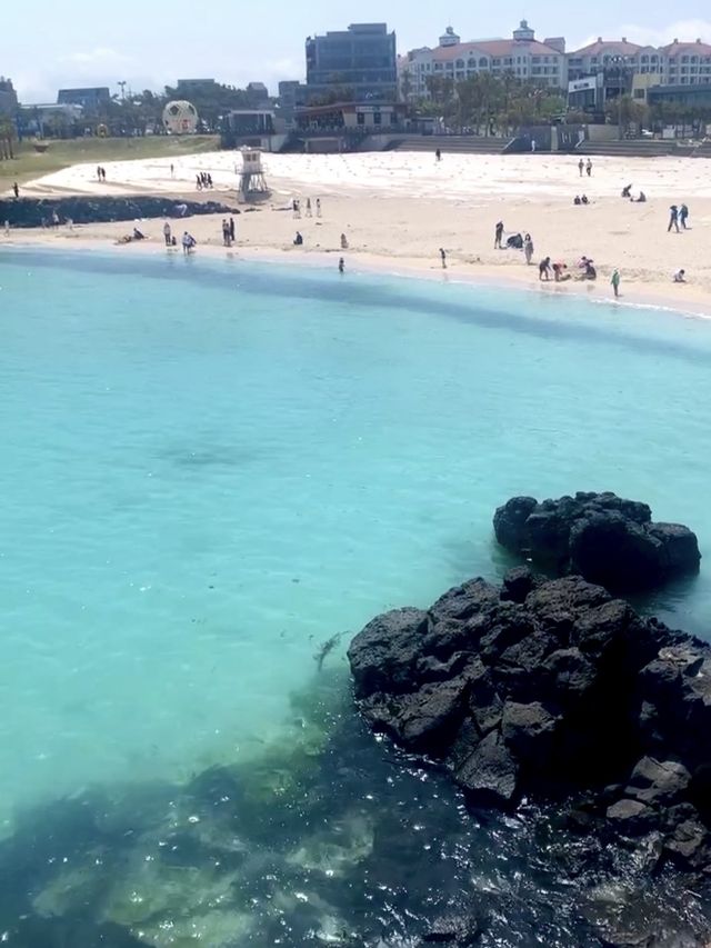 제주 에메랄드빛 해변 '함덕해수욕장' 🏝