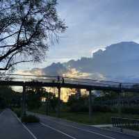 ขอไปอีกทีนะ…สวนเบญจกิติ