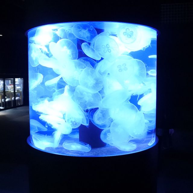 【新潟市水族館マリンピア日本海】