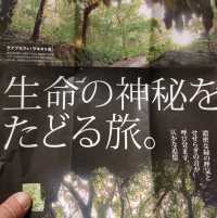 【沖縄 南城市】生命の神秘を辿る旅✨
