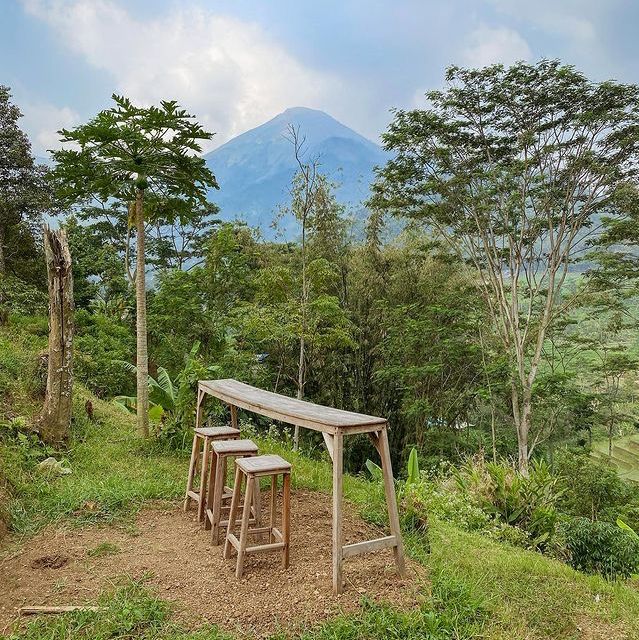 Sakala Coffee