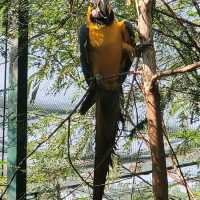 Indore zoo worth one day trip