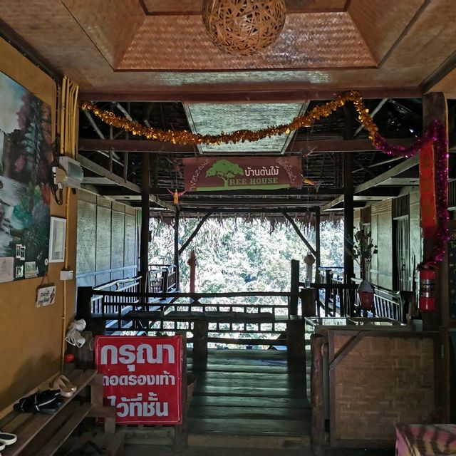 บ้านต้นไม้ แม่แมะ