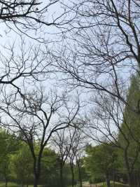 韓國 天空公園｜ 打卡景點