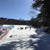 Ski Resort an hour from Tokyo 