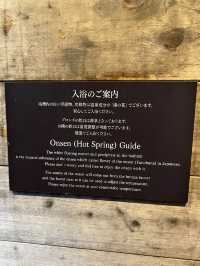自然を感じたいなら間違いなくココ☘️