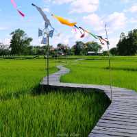 ทุ่งนา สะพานไม้ ใบเสมาหินโบราณ เต่างอย สกลนคร