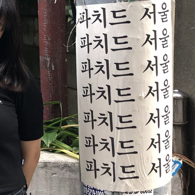 [이태원 카페]파치드 서울