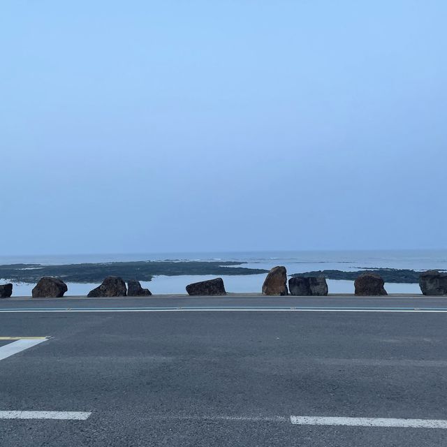 제주 돌문어덥밥은 ‘벵디’