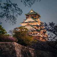 Osaka Castle Vibes!, Japan