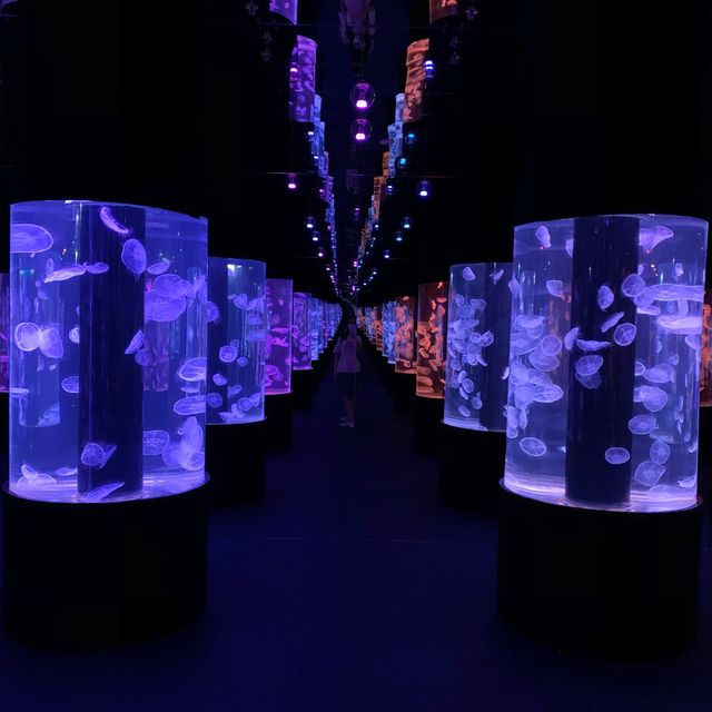 遙不可及的海洋世界 ～ 探遊館