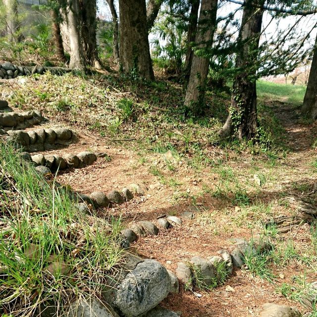 〜芝桜の丘・見晴らしの丘〜【羊山公園】