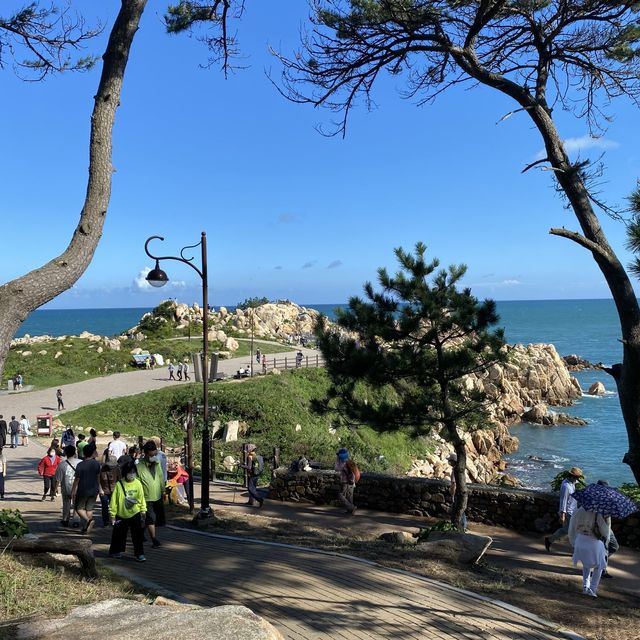 [울산] 대왕암공원🏔, 낮에는 아름다운 바다를, 밤엔 끝내주는 야경을