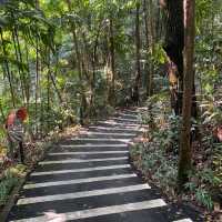 Mount Imbiah Nature Trail, Sentosa Attraction