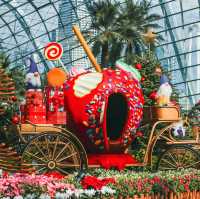 Poinsettia Wishes at Gardens by the Bay