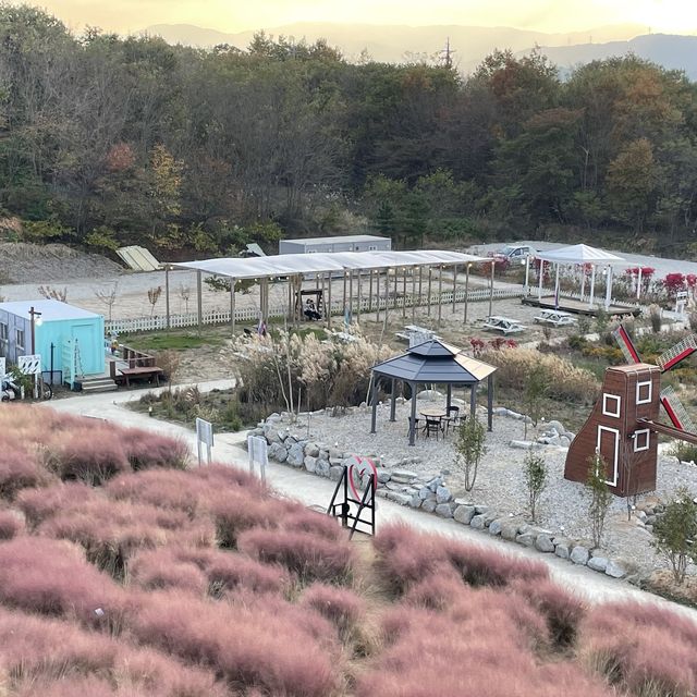 강원도 강릉시 호린파크에서 해외를 느껴보세요