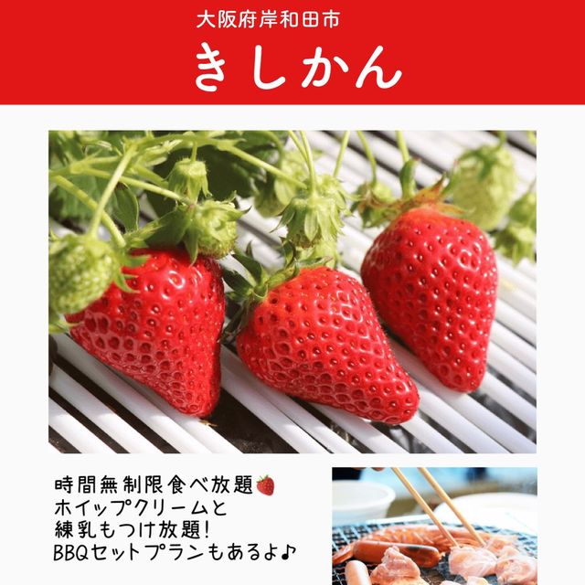 関西のいちご狩りスポットまとめ6選