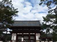 好想去日本！世界文化遺產：奈良東大寺～還有好多可愛的🦌