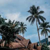 🌴เกาะพีพีพร้อม​แล้ว คุณล่ะพร้อมหรือยัง❓