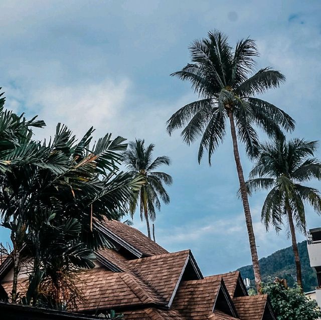 🌴เกาะพีพีพร้อม​แล้ว คุณล่ะพร้อมหรือยัง❓