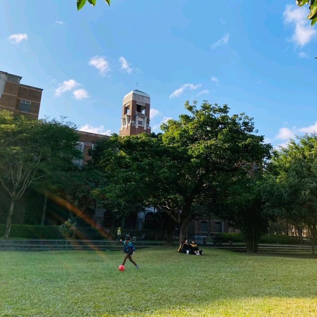 대만대학교 잔디밭에서 여유롭게🍃