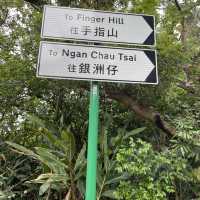 坪洲有個大利島