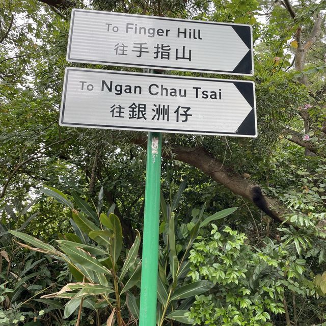 坪洲有個大利島