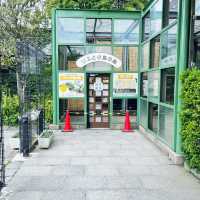 【神戸】神戸の動物園といえばここ❣️神戸市立王子動物園🐼