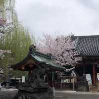 【東京おでかけ】下町文化がすてきな街、浅草の観光と言えば！浅草寺〜浅草神社