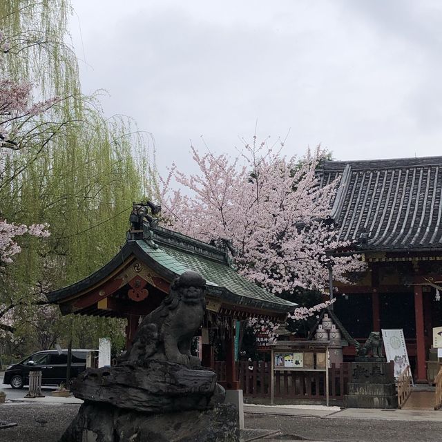 【東京おでかけ】下町文化がすてきな街、浅草の観光と言えば！浅草寺〜浅草神社