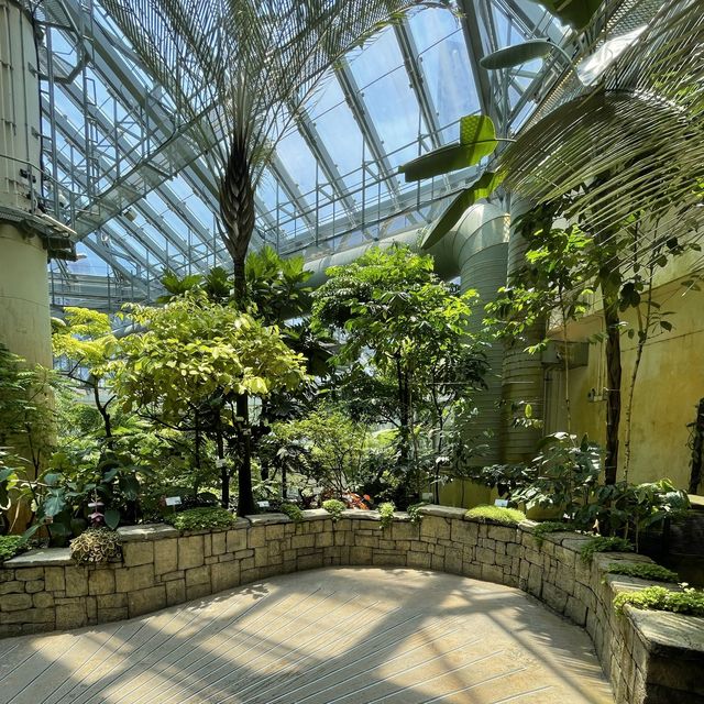 熱帶植物展覽館@霍士傑溫室