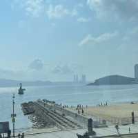 해운대의 미니제주🌴