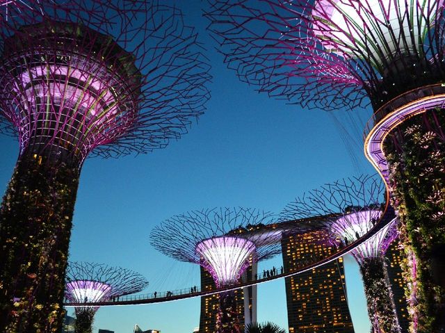 สิงคโปร์ สนุกไปกับกิจกรรมท่องเที่ยวมากมาย