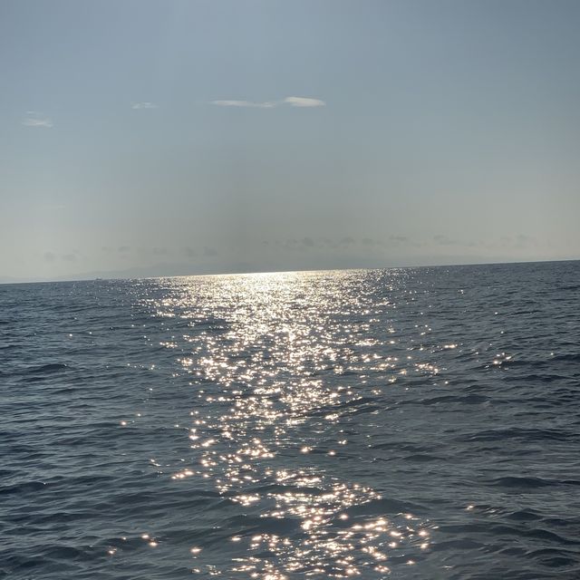 式根島🐬