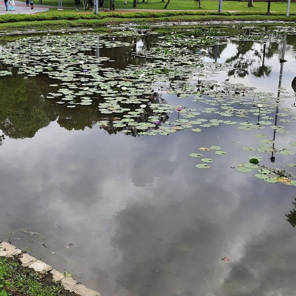 GREENERY ESCAPE OF TITIWANGSA