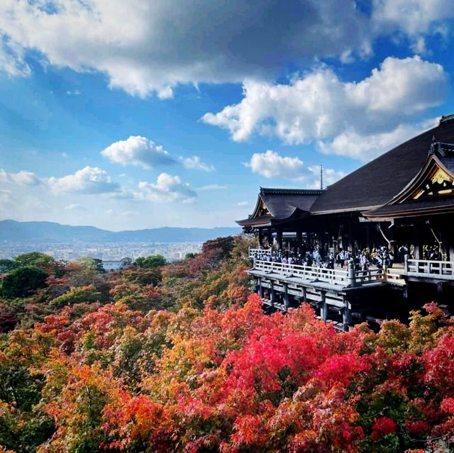 The picture perfect trip to kyoto