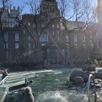 เที่ยว Central Park Zoo กัน