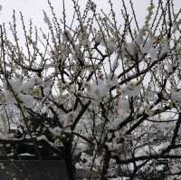หนาวจับใจ..ได้สัมผัสหิมะแรกในชีวิตที่ Ueno