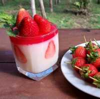 🍄 Ling Noi Farm🥀พัทลุง