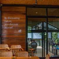 คาเฟ่ซ่อนตัวอยู่ท่ามกลางป่าเขาธรรมชาติ