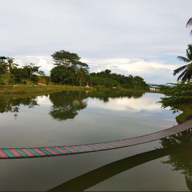 KOLAM RESORT KENINGAU 