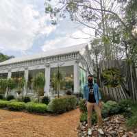 หลงคาเฟ่ พัทลุง