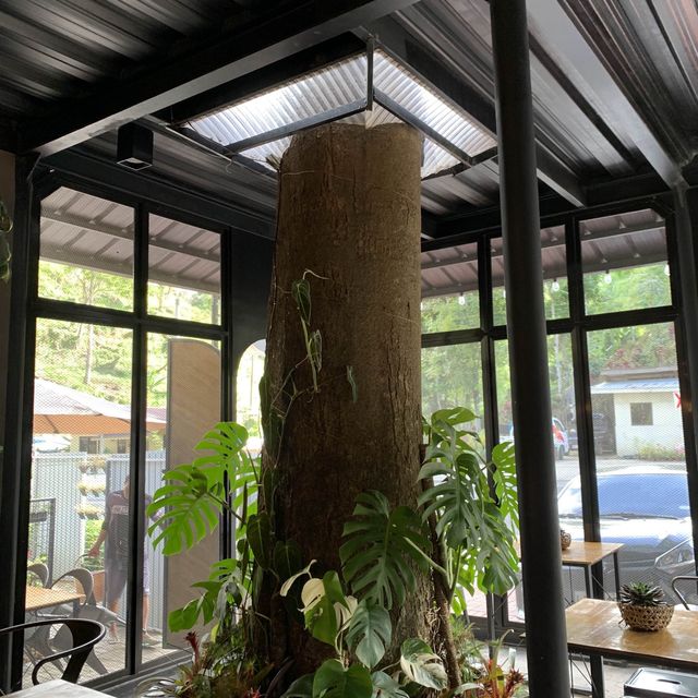 TH Tree House Along the Road