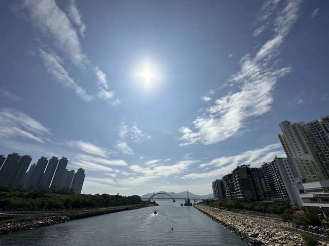 本地遊 | 將軍澳賞花路線 | 由文曲里經海濱走到康城